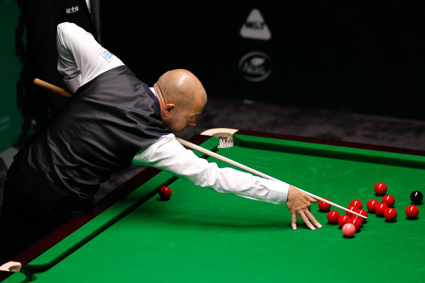 新的活力 新的活力