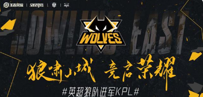 概括此表型 概括此表型